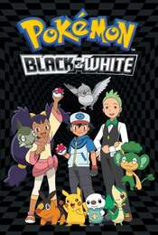 Pokémon Black & White