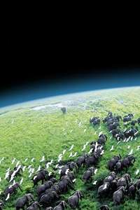 Planet Earth - Posters