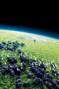Planet Earth - Posters