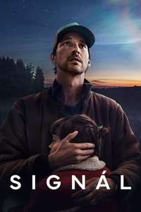 The Signal - Posters