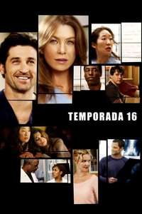 Grey's Anatomy - Posters