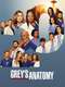 Grey's Anatomy : Season 20