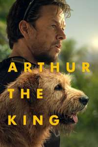 Arthur the King - Posters