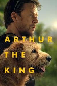 Arthur the King - Posters