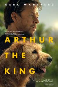 Arthur the King - Posters