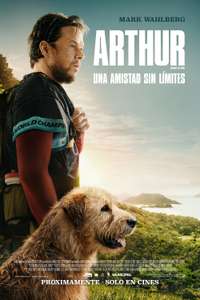 Arthur the King - Posters