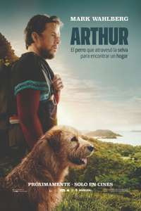 Arthur the King - Posters