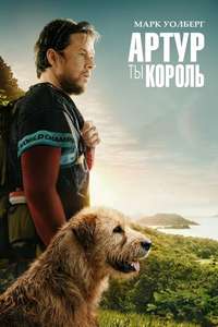 Arthur the King - Posters