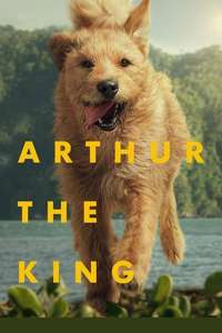 Arthur the King - Posters