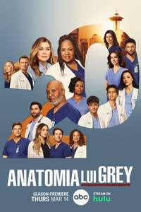 Grey's Anatomy - Posters