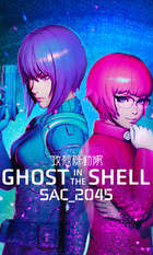 Ghost in the Shell: SAC_2045