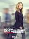 Grey's Anatomy : Season 16