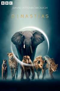 Dynasties - Posters