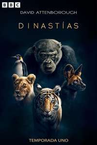 Dynasties - Posters