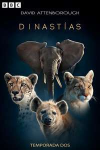 Dynasties - Posters