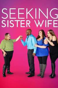 Seeking Sister Wife - Posters