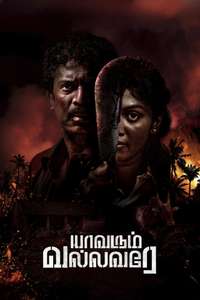 Yaavarum Vallavare - Posters