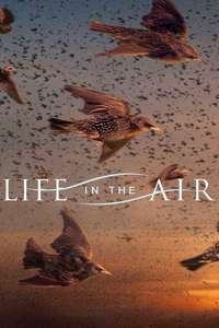 Life in the Air - Poster