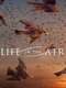 Life in the Air