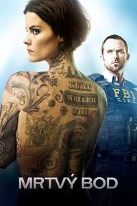 Blindspot - Posters