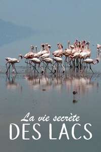 Secret Life of Lakes - Poster