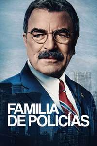 Blue Bloods - Posters