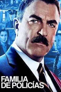 Blue Bloods - Posters