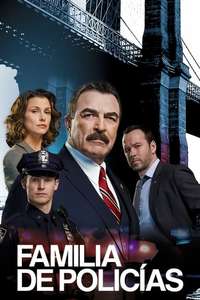 Blue Bloods - Posters
