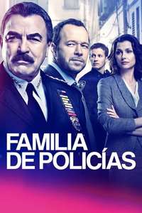 Blue Bloods - Posters