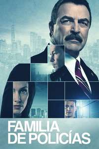 Blue Bloods - Posters