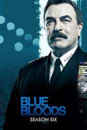 Blue Bloods Season 6