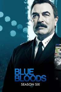 Blue Bloods - Posters