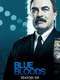 Blue Bloods : Season 6