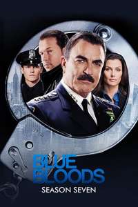 Blue Bloods - Posters
