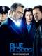 Blue Bloods : Season 8