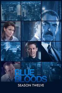 Blue Bloods - Posters