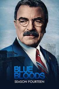 Blue Bloods - Posters