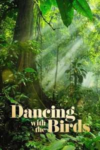 Dancing with the Birds - Posters