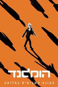 Homeland - Posters