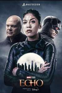 Echo - Posters