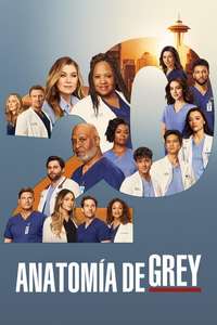 Grey's Anatomy - Posters