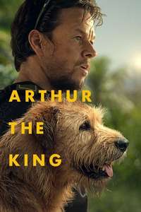 Arthur the King - Posters
