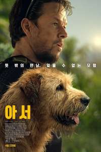 Arthur the King - Posters