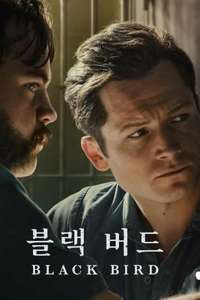 Black Bird - Posters