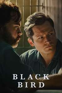 Black Bird - Posters