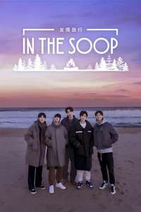 In The Soop: Friendcation - Posters