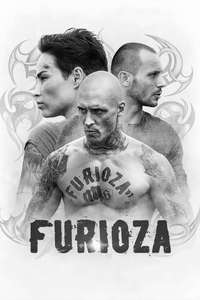 Furioza - Posters