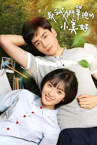 A Love So Beautiful - Posters