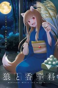 Spice and Wolf: Merchant Meets the Wise Wolf - Posters