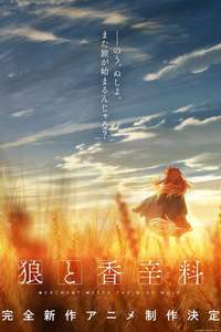Spice and Wolf: Merchant Meets the Wise Wolf - Posters